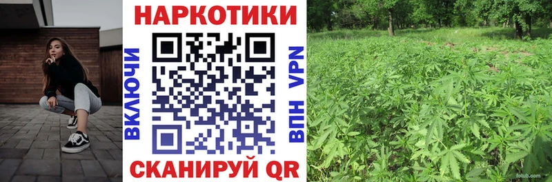 Где купить наркотики Белый Каннабис APVP Гашиш АМФЕТАМИН COCAIN