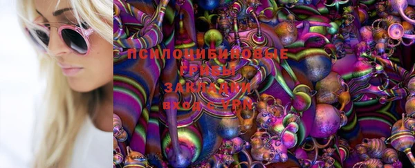 a pvp Балабаново