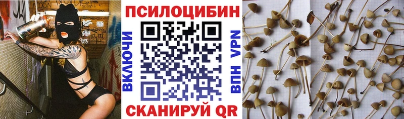 Псилоцибиновые грибы мухоморы даркнет сайт omg как зайти Белый